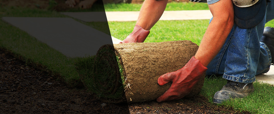 East Earl Landscapers